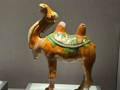 -景德镇中国陶瓷博物馆