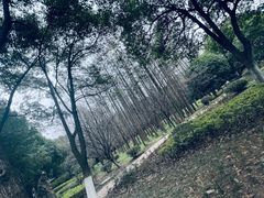 -合肥野生动物园