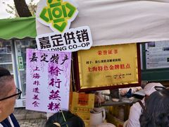 -嘉定紫藤园