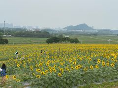 -光明小镇欢乐田园