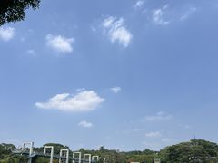 -东莞植物园