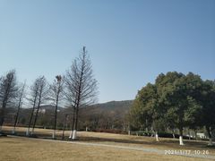 -长广溪湿地公园