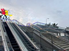 -千岛蚝高压锅生蚝·人参火锅(白云万达店)