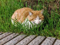 -哈尔滨工业大学食堂