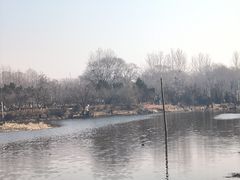 -前关湿地公园