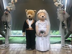 -济州岛泰迪熊博物馆