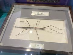 -上海昆虫博物馆