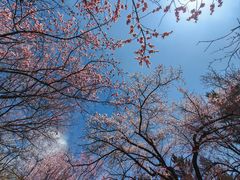 -吉林大学(南岭校区)