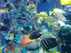 -沈阳海洋探索中心