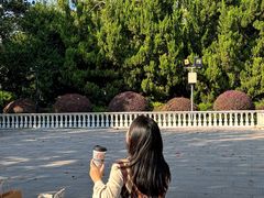 -霸王茶姬(上海静安大悦城店)