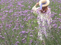 -石井坡(地铁站)