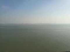 -大湾区中央湿地公园