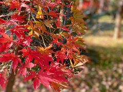 -剑河仰阿莎温泉小镇