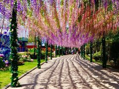 -安徒生童话乐园