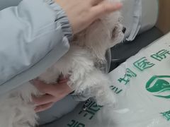 -瑞派宠物医院·24h·骨外科·皮肤科·全科宠物医疗转诊中心(沈阳浑南院)