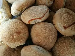 光饼-盖邑扁食店