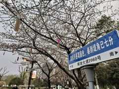 -堤角公园