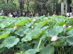 -文华公园(禅城区)
