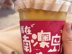 -南澳岛打卡果汁冰公司