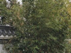 -南京市无想山景区