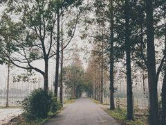 -上海长兴岛郊野公园