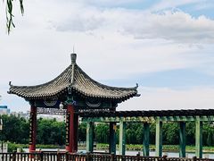 -莲花池公园