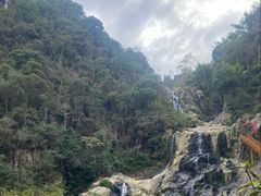 -泽雅七瀑涧景区