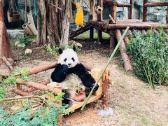 -泉州海丝野生动物世界