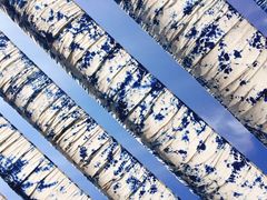 -璞真扎染博物馆