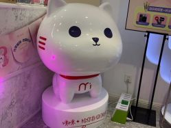 -咪咪专业脱毛连锁机构