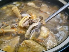 -15年老字号鑫鑫猪肚鸡·椰子鸡海南火锅(兴隆华侨农场店)