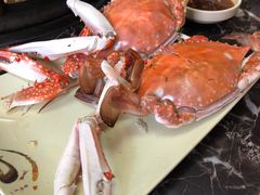 -大锅强·蒸海鲜青岛菜(吾悦广场店)