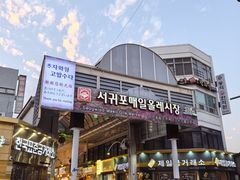 -西归浦每天偶来市场