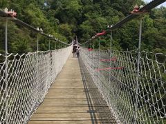 -塔云山