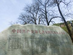 -延安杨家岭革命旧址