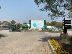 -上海都市菜园