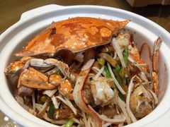蟹肉粉丝煲-新海渔港·胶东海鲜家常菜·家宴(奥体中心店)