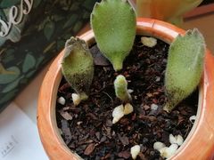 -大润发(勤业店)