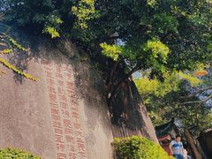 -南普陀寺
