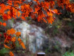 -九如山休闲旅游度假区