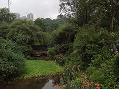 -龙头寺公园