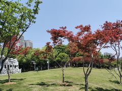 -楚望台遗址公园