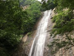 -陕西省红河谷森林公园