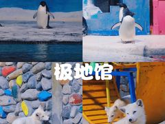 -海合安天津极地海洋公园