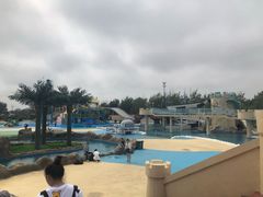 -秦皇岛乐岛海洋王国