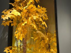 -渝乡辣婆婆·川菜 水煮鱼(安平店)
