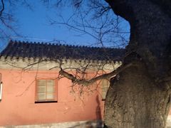 -南长河公园