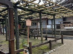 -奈良公园