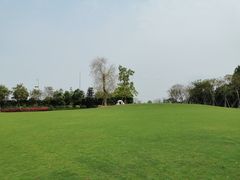 -顺峰山公园