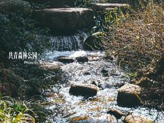 -上海共青森林公园